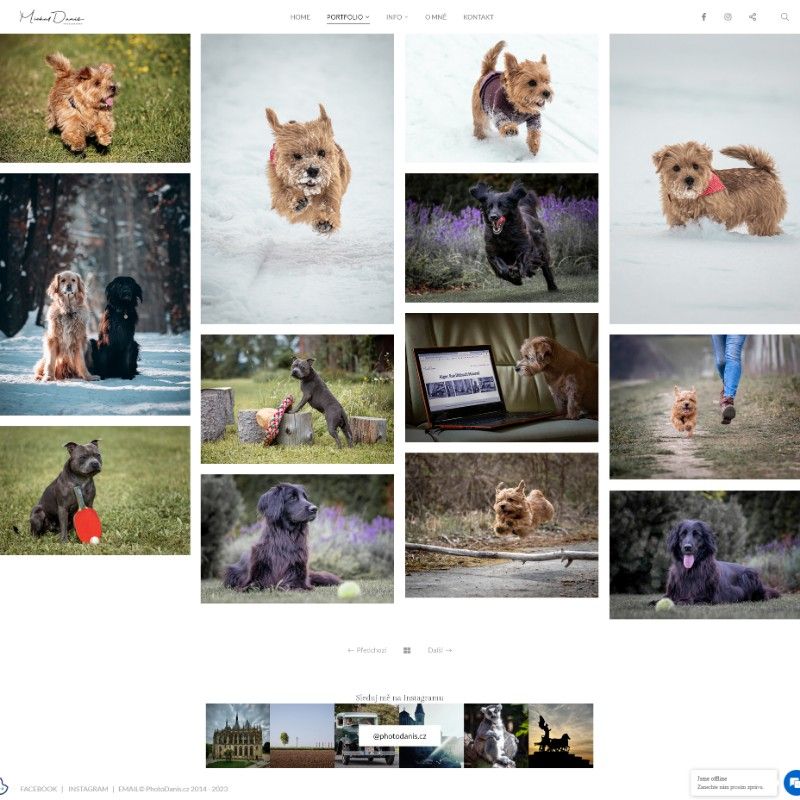 design minimalista del sito web di fotografia di animali domestici