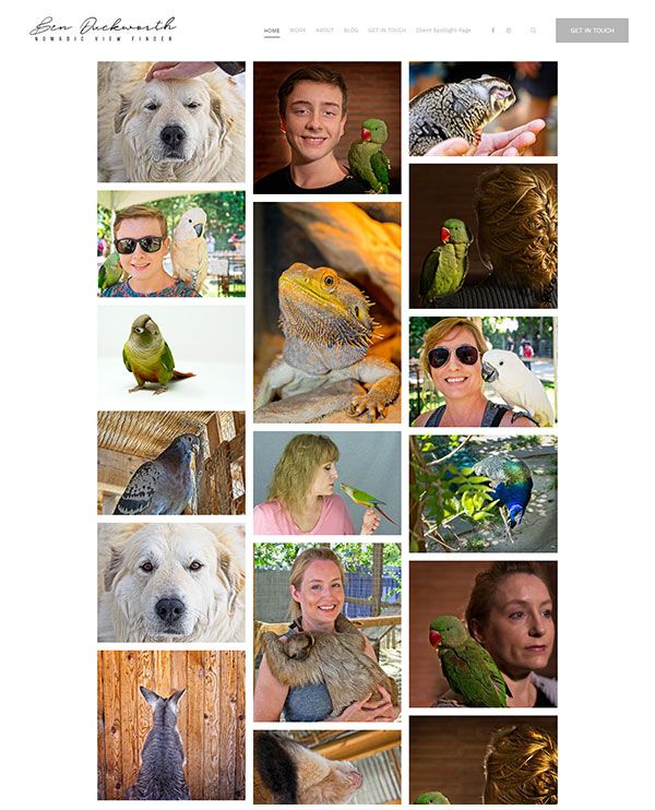 Бен Дакворт — веб-сайт фотографии домашних животных — Pixpa