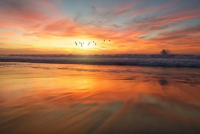 Die goldenen und blauen Stunden